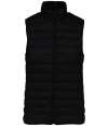 NS6006 Native Spirit Ladies Light Recycled Bodywarmer Black colour image